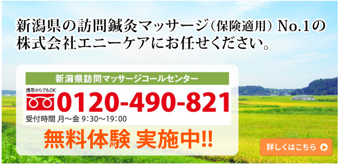 新潟県の訪問鍼灸マッサージ（保険適用） No.1の株式会社エニーケアにお任せください。無料体験実施中！！詳しくはこちら